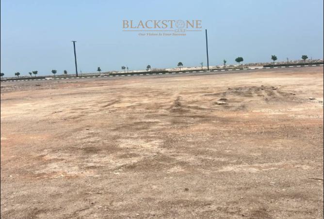 74243868 - Property Image 3