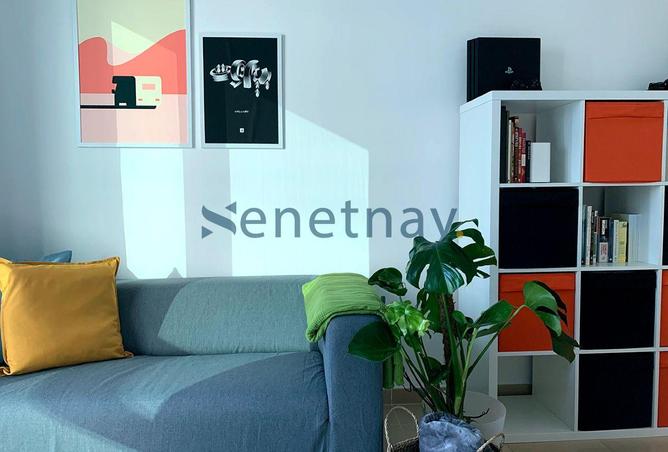 16007841 - Property Image 3