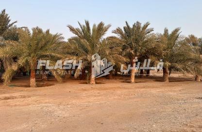 Farm - Studio for sale in Al Madfaq - Ras Al Khaimah