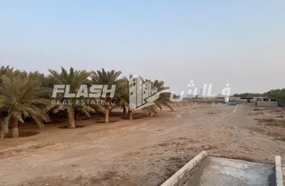 مزرعة - استوديو للبيع في المدفق - رأس الخيمة