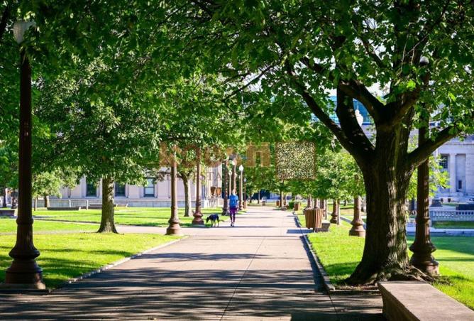 56159076 - Property Main Image