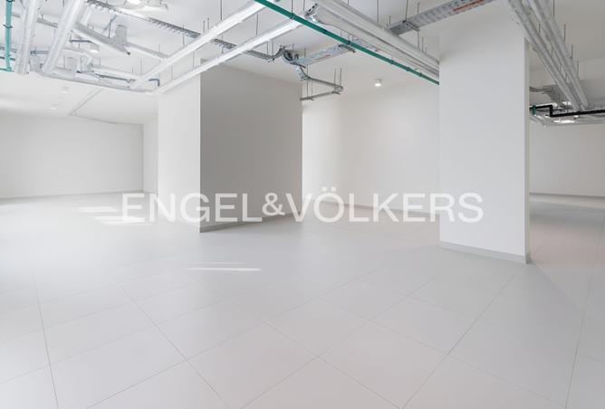 16010791 - صورة العقار 3