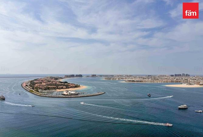 16172944 - Property Image 3