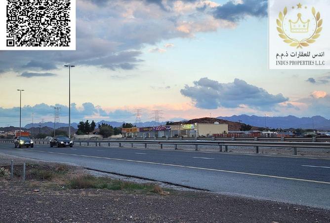 16234741 - Property Image 3