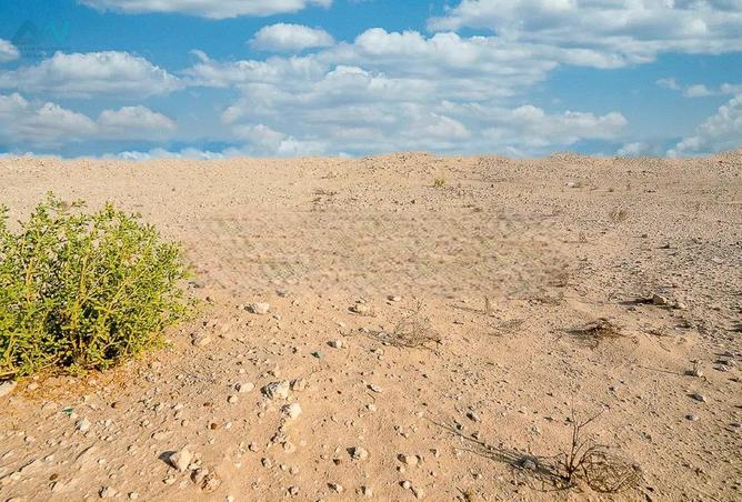 75012301 - صورة العقار 2