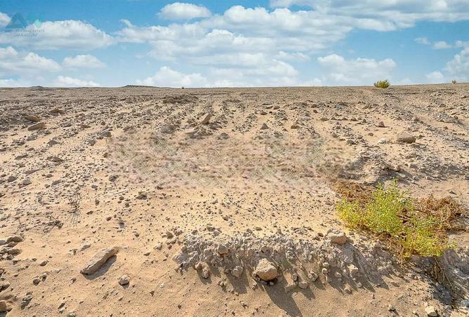 75012301 - صورة العقار 3