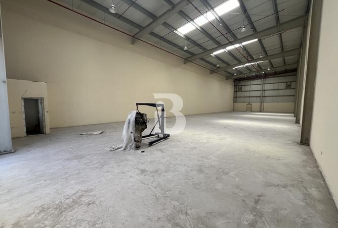 116811804 - Property Image 3