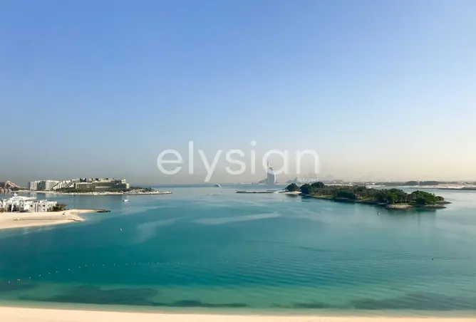 146442897 - Property Image 2