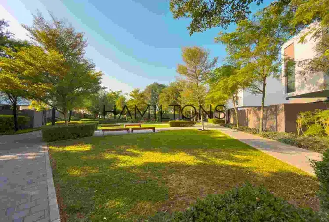 146421695 - Property Image 2