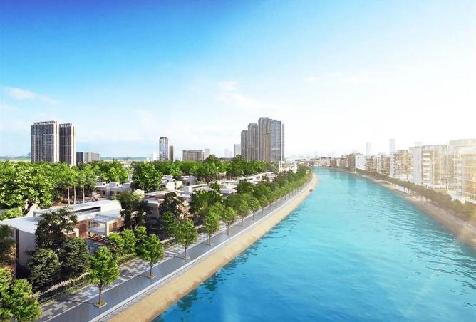 16080087 - صورة العقار 3