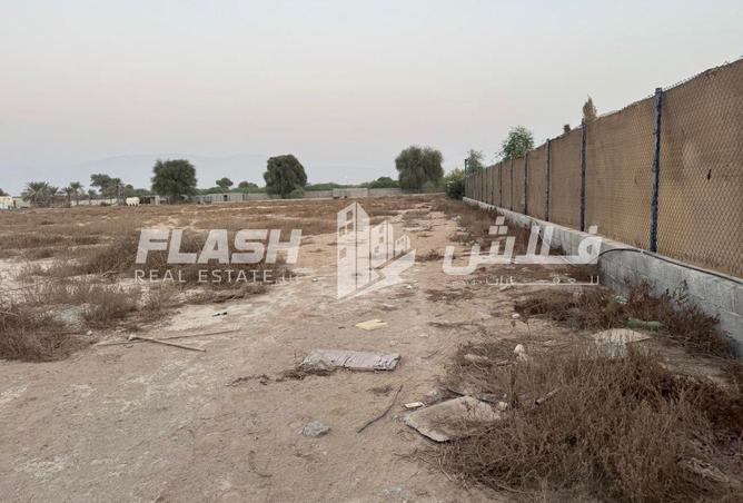 16246200 - Property Image 2