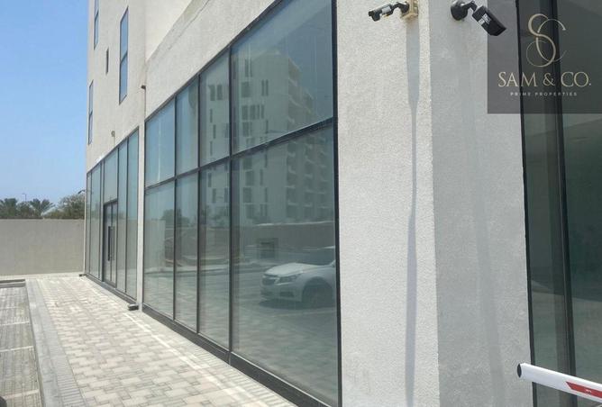 16284184 - Property Image 3