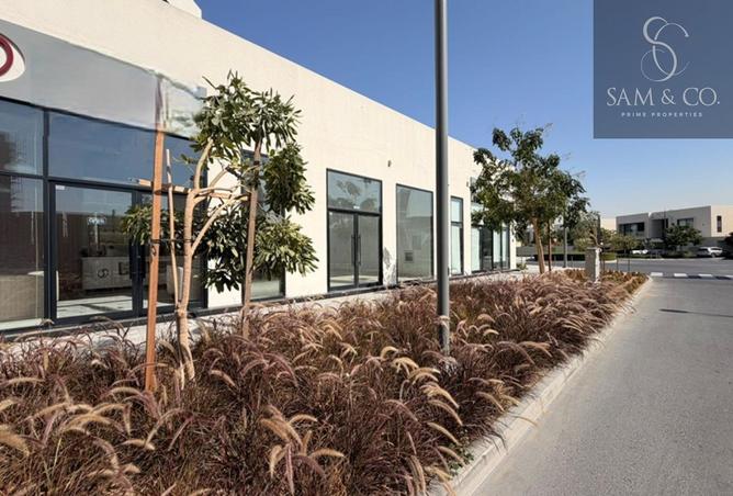 16284184 - Property Image 2