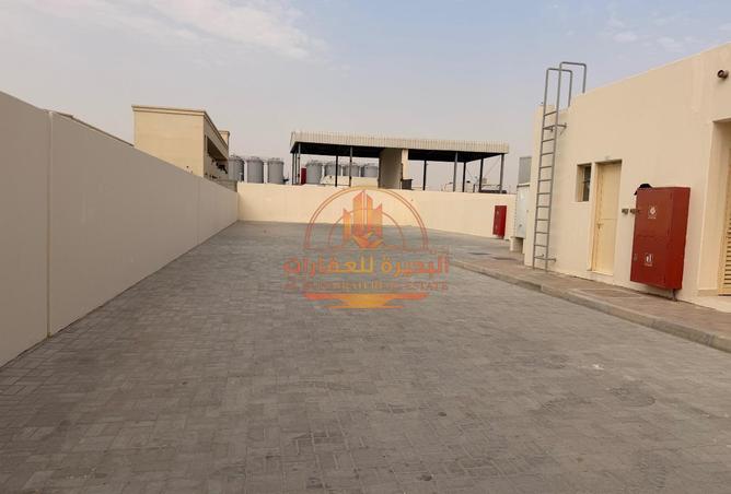 115909343 - Property Image 3