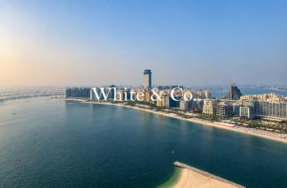 Apartment - 1 - 1 for rent in Palace Beach Residence Tower 2 - Palace Beach Residence - Emaar Beachfront - Dubai Harbour - Dubai Apartment - 1 - 1 for rent in Palace Beach Residence Tower 2 - Palace Beach Residence - Emaar Beachfront - Dubai Harbour - Dubai