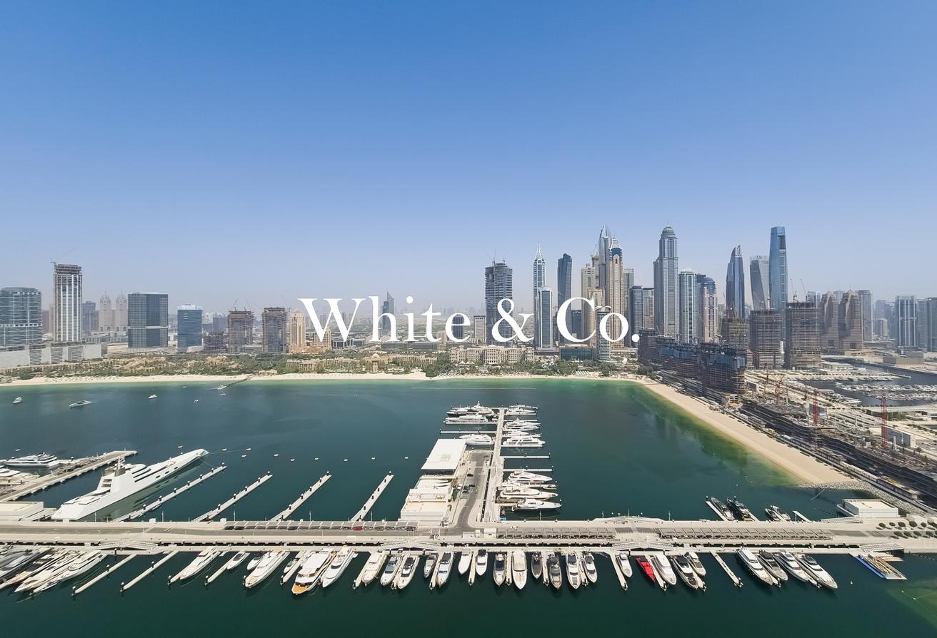 Full Palm Views | High Floor | Vacant Now photo 15