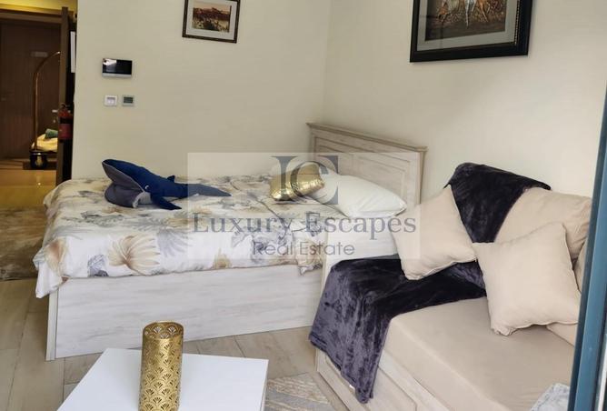 113248405 - Property Image 2
