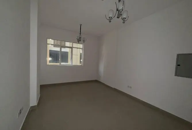 144603006 - Property Image 3