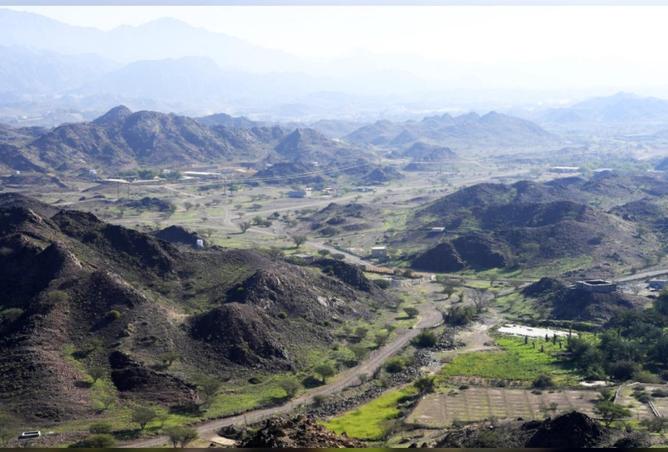 74618408 - Property Image 2