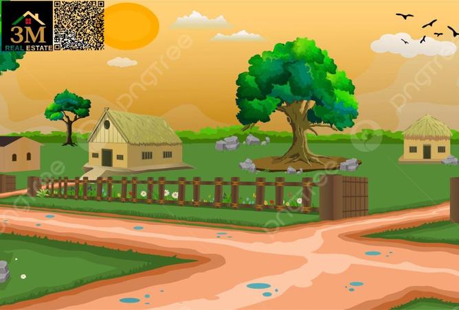 71466015 - صورة العقار 3