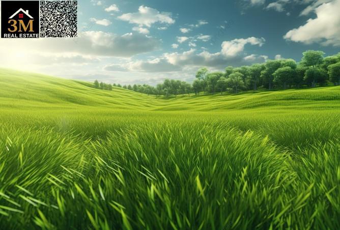 71466015 - صورة العقار 2