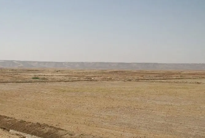 165500954 - صورة العقار 2