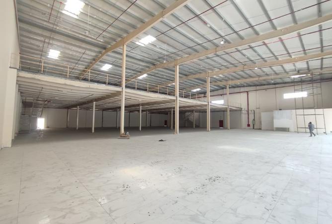 16031391 - صورة العقار 3