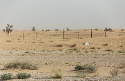 Land - Studio for sale in Al Qasimiah City - Sharjah