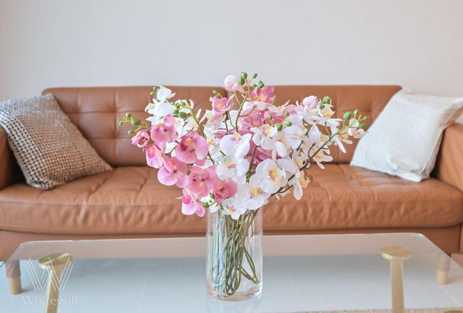 67844822 - صورة العقار 3