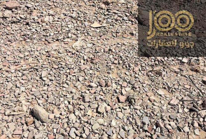 16156141 - Property Image 2