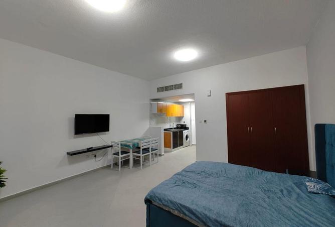 16241171 - Property Image 3