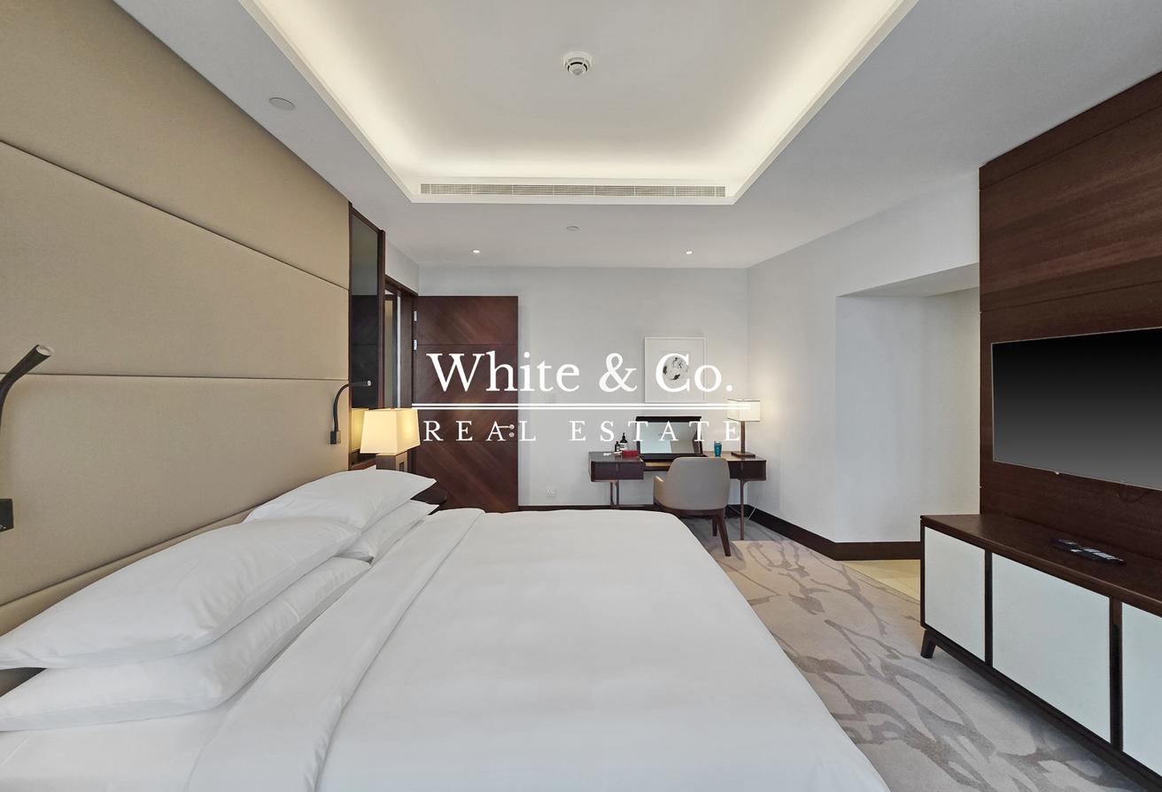 Vacant Now | Fully Furnished | City View photo 8