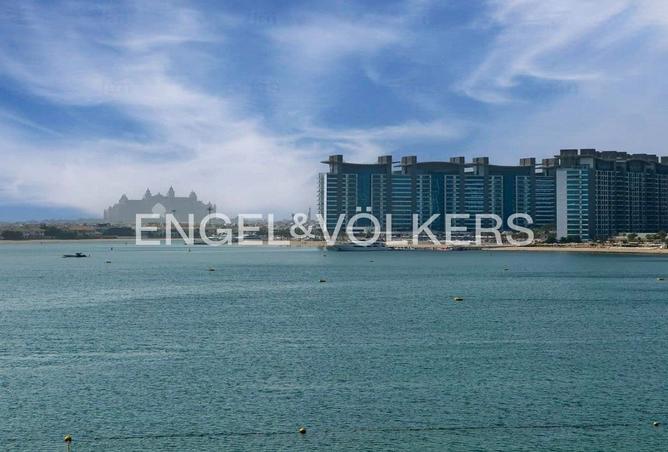 141433567 - Property Image 3