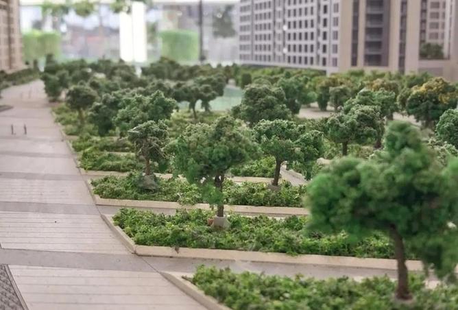 16336056 - Property Image 3