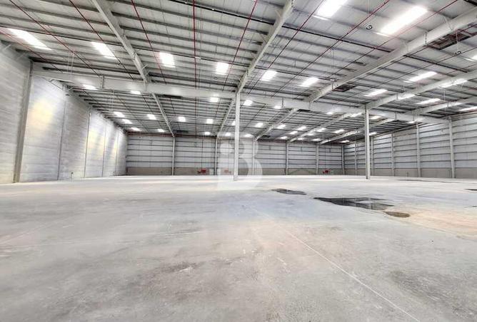 16318491 - Property Image 3