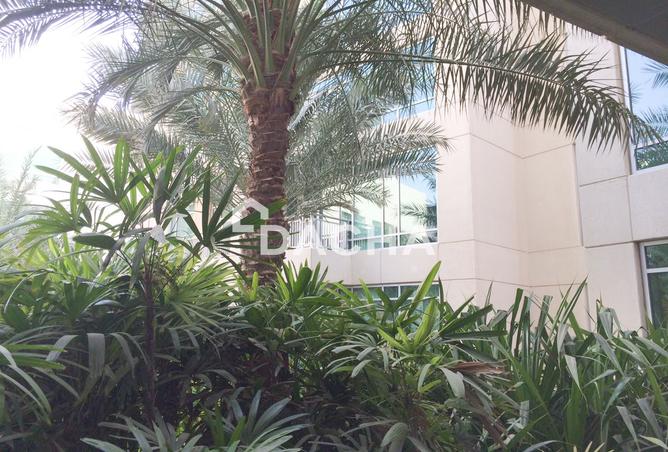141431651 - Property Image 3