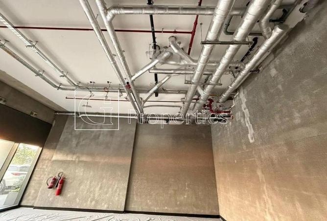 67447001 - Property Image 3