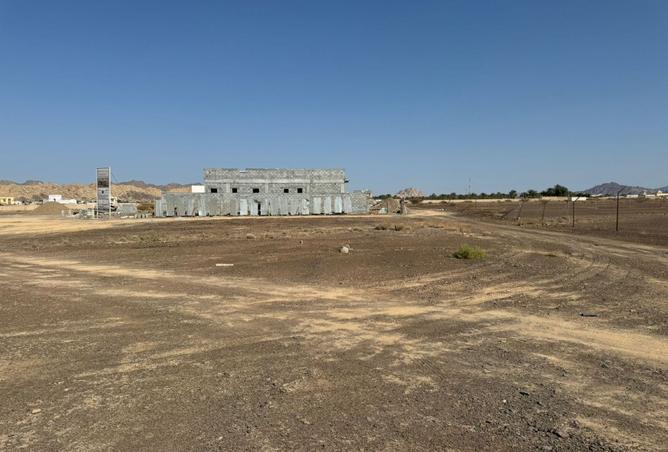 141008245 - Property Image 3
