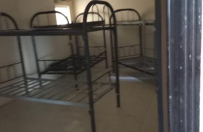 Labor Camp - Studio - 7+ for rent in Al Jurf 3 - Al Jurf - Ajman Downtown - Ajman