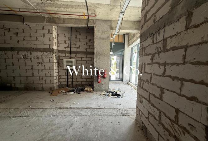 73843813 - Property Image 2