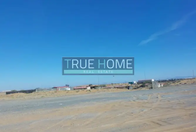 158231413 - Property Image 2