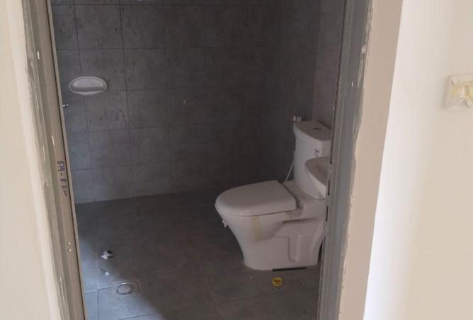 16279167 - Property Image 3