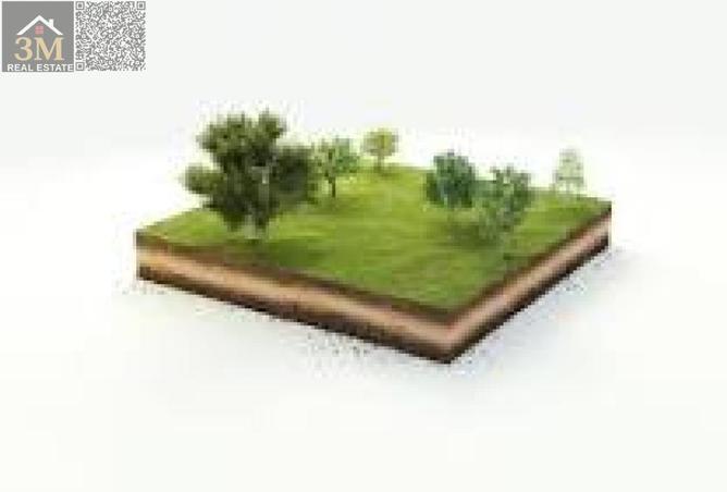 85303894 - صورة العقار 2