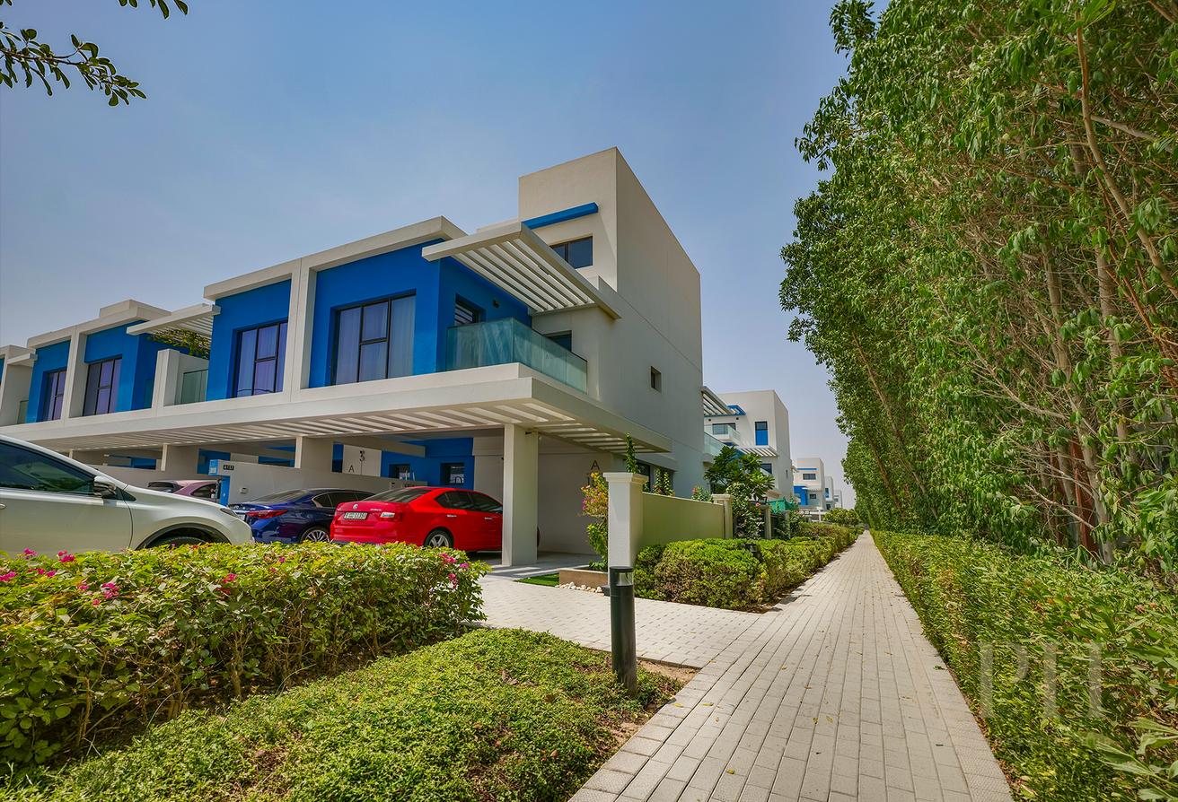 Dead-End Corner | Filtered Water | Landscaped photo 11