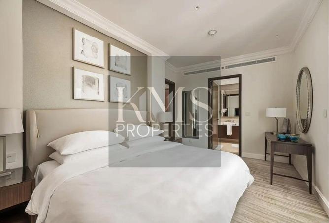 16283906 - Property Image 3