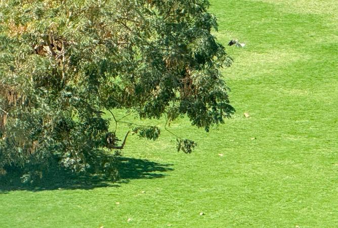 67454679 - صورة العقار 2