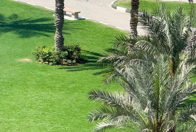 67454679 - الصورة الرئيسية للعقار