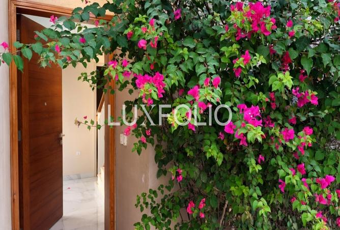 81933709 - Property Image 3