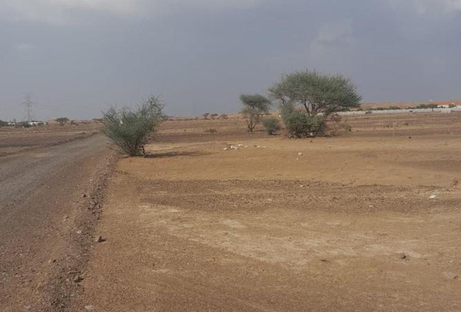 16288897 - Property Image 3