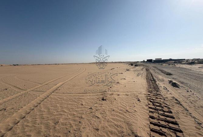 100839096 - صورة العقار 3